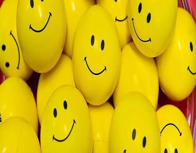 Search your happiness here