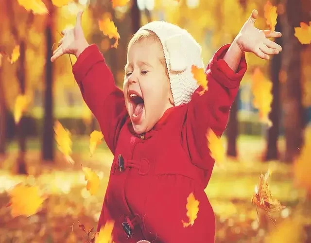 Happiness emotions means