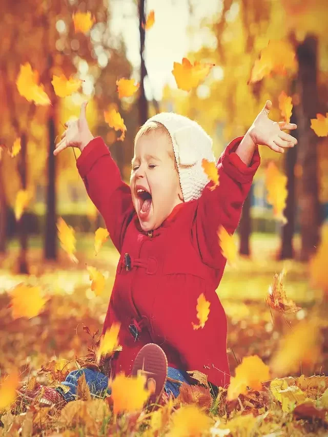 Happiness emotions means