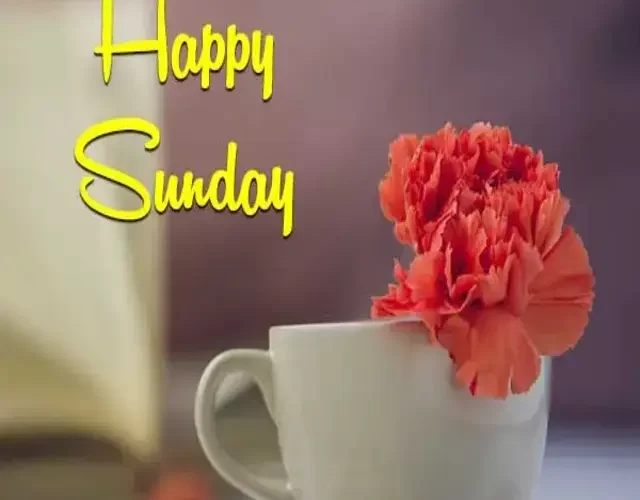 Happy Sunday Morning