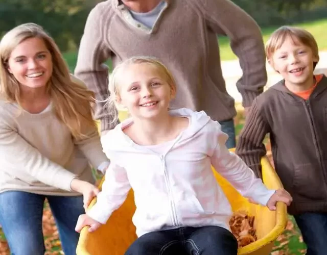 What is Definition of family