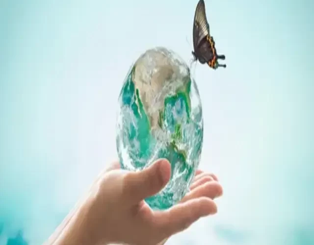 World Environment day  5 th june